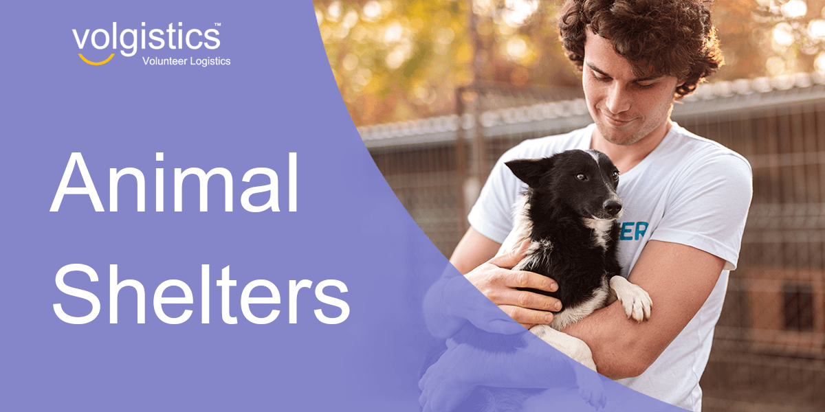 Learn How to Start an Animal Rescue or No-Kill Shelter