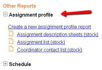 Screen shot of the Print page showing Assignment profiles report