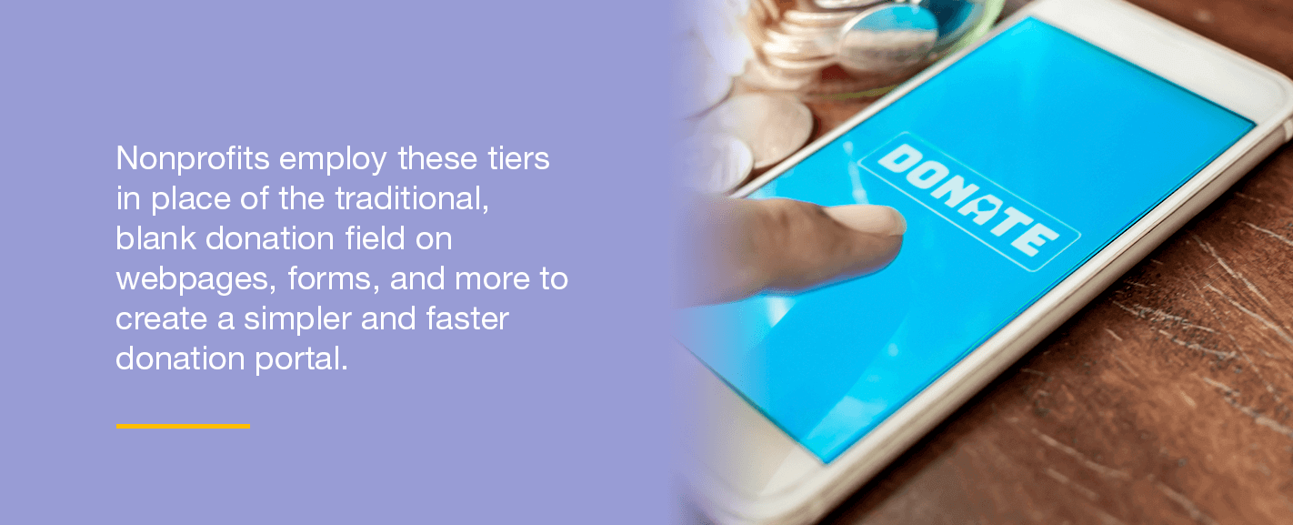 Nonprofits employ these tiers in place of the traditional, blank donation field on webpages, forms, and more to create a simpler and faster donation portal.