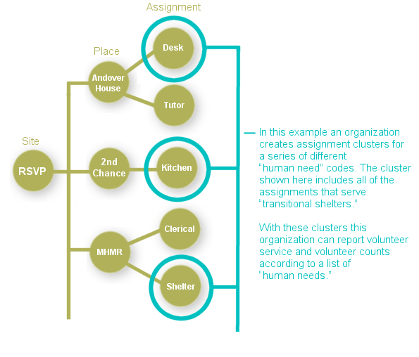 Retired Senior Volunteer Program Assignment Structure