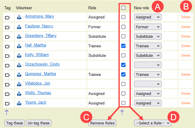 Image of Volunteer List and Role Options