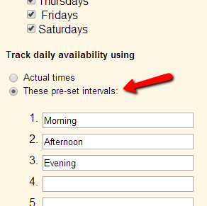Daily availability field showing the pre-set intervals option