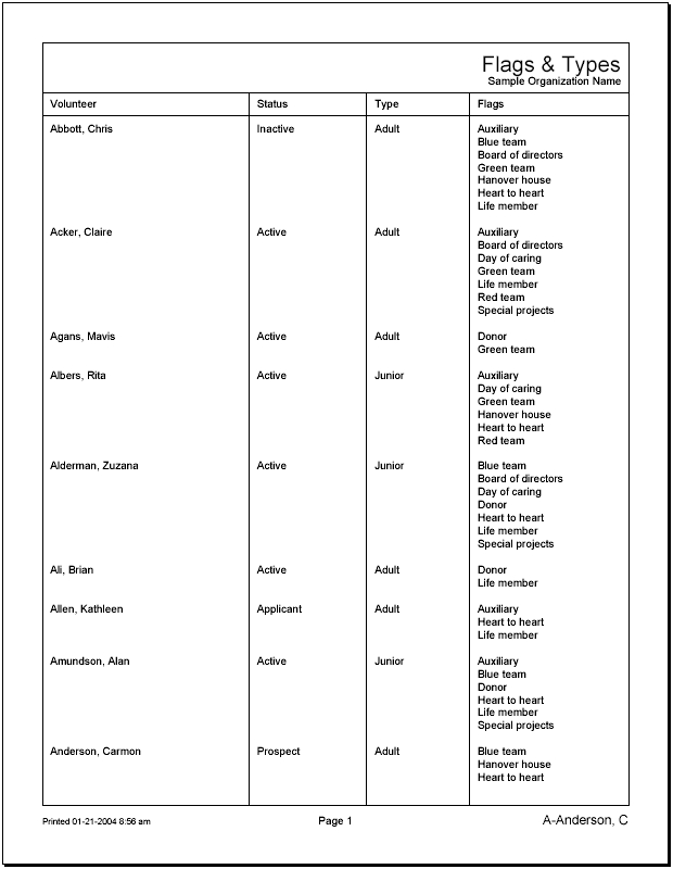 Example of Flags and Type List Report