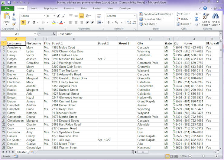 Example of Names, Addresses, and Phone Numbers Stock Report