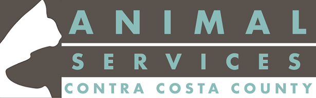 Contra Costa County Animal Services Volunteer Application Form
