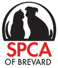 SPCA of Brevard, Inc Volunteer Application Form