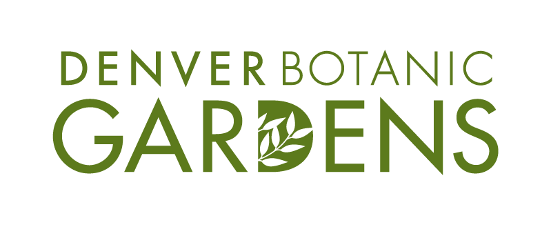 Denver Botanic Gardens 2019 Blossoms of Light Volunteer Application