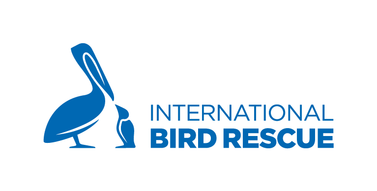 International Bird Rescue Volunteer Application Form-LA