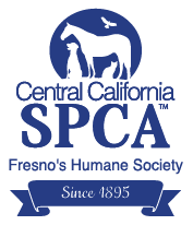 Central California SPCA CCSPCA Animal Foster Program Interest Form