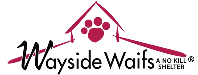 Wayside Waifs Waif's Day Out - Field Trip Volunteer Application Form