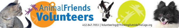 Animal Friends Day of Service Interest Form