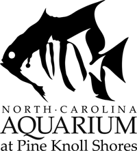 North Carolina Aquarium at Pine Knoll Shores Login