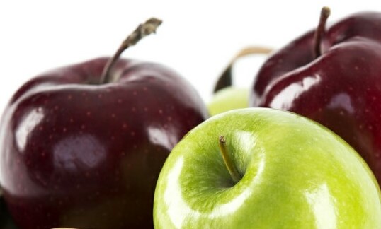Northborough Food Pantry Login