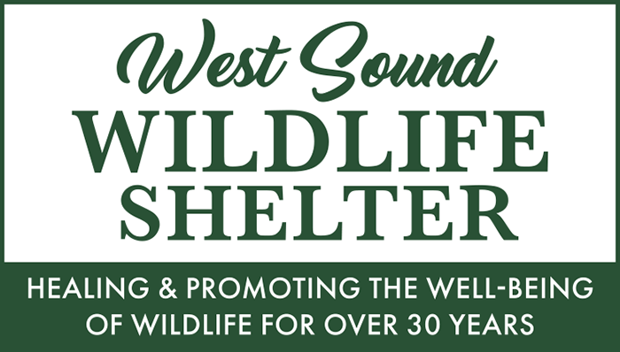 West Sound Wildlife Shelter Login