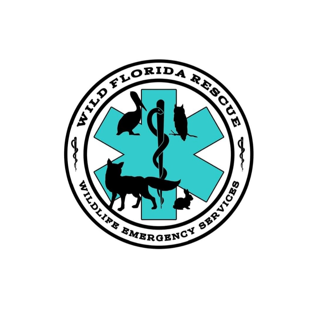 WILD Florida Rescue Login