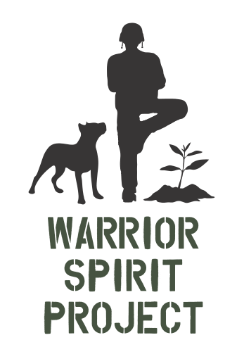 Warrior Spirit Project Login