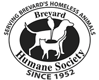 Brevard Humane Society Login