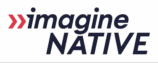 imagineNATIVE Film + Media Arts Festival Volunteer Application Form