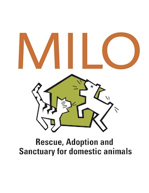 The Milo Foundation Login