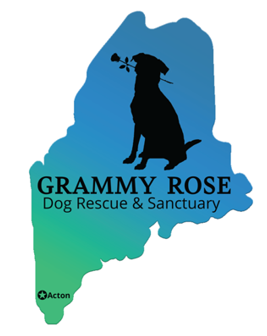 Grammy Rose Dog Rescue & Sanctuary, Inc. Volunteer Application Form
